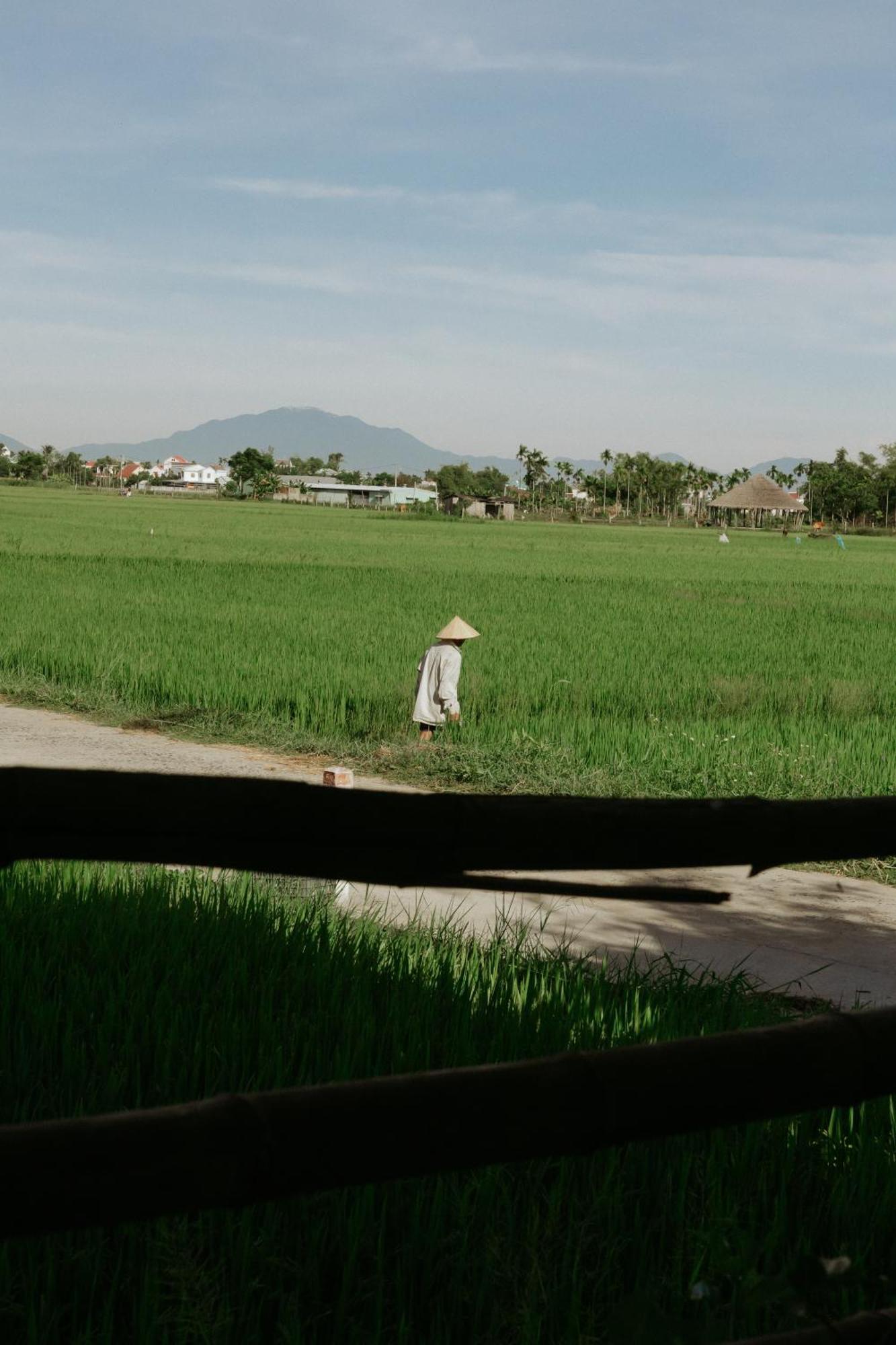 Heron House Hoi An Eksteriør billede