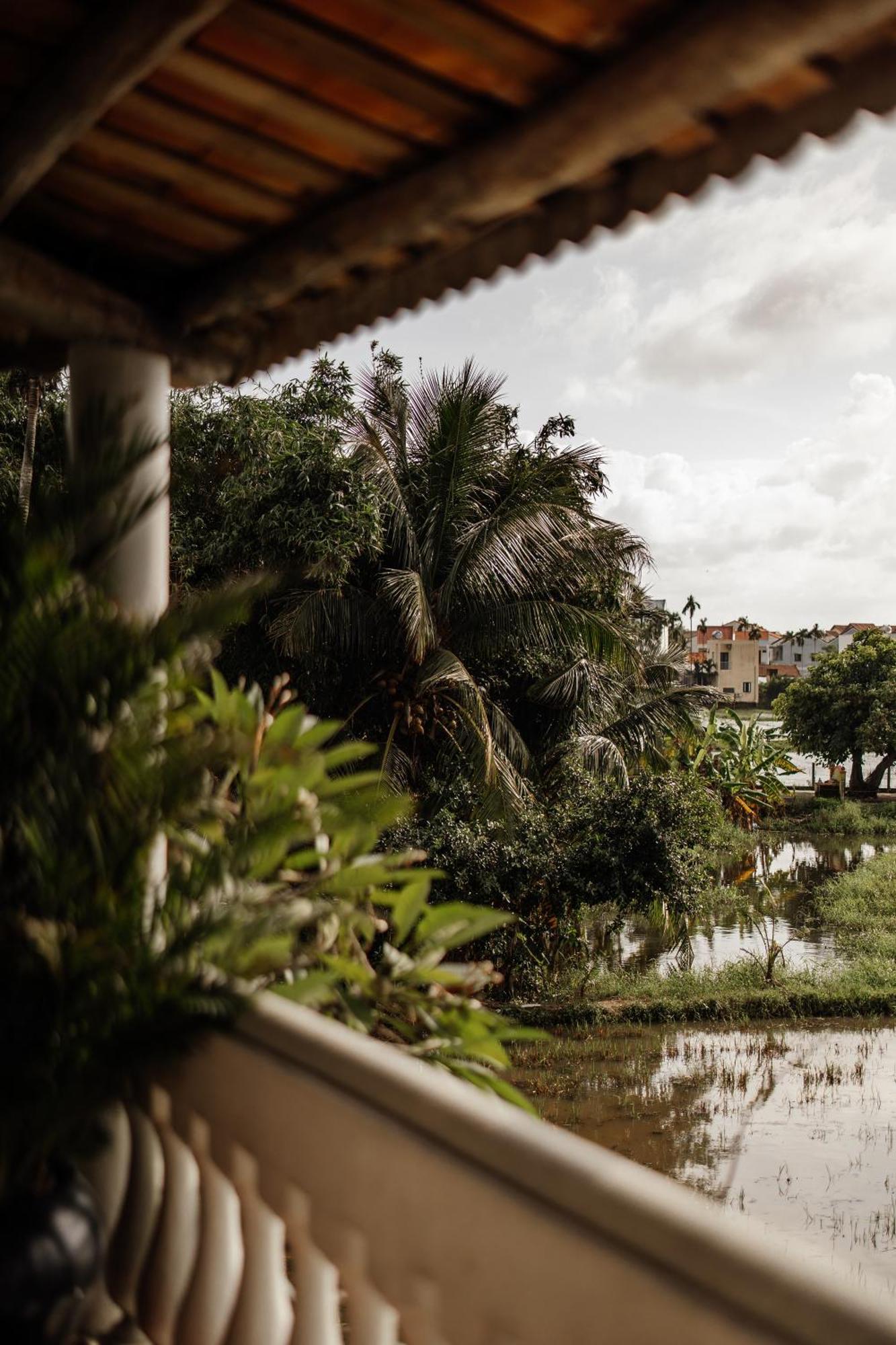 Heron House Hoi An Eksteriør billede