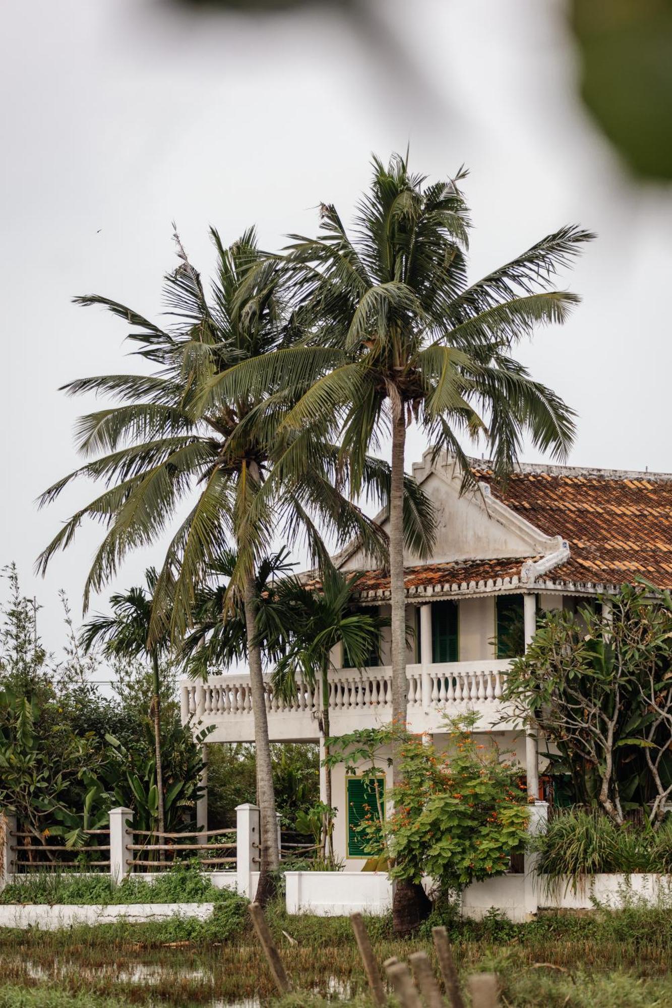 Heron House Hoi An Eksteriør billede