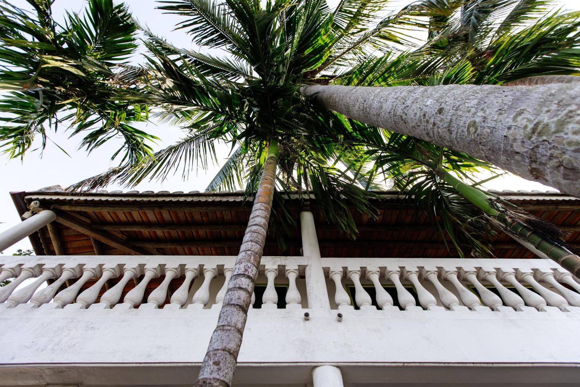 Heron House Hoi An Eksteriør billede