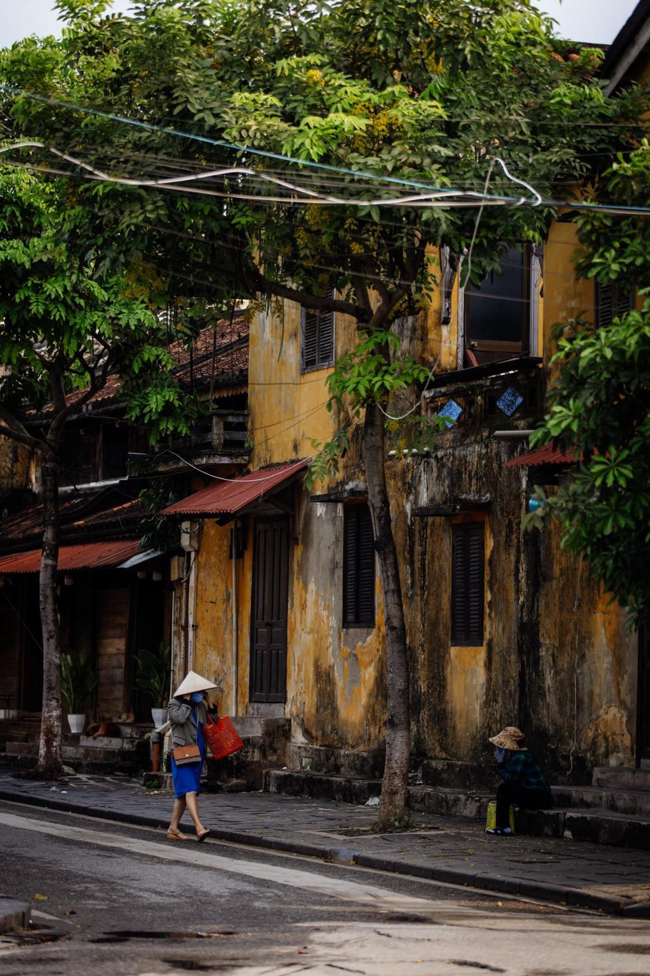 Heron House Hoi An Eksteriør billede